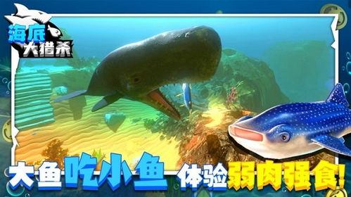 2024年白小姐四肖期期准|专业研究解释落实_程序集.3.528