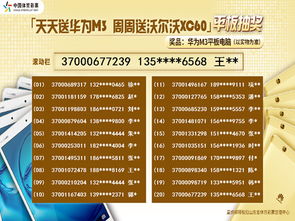 二四六天天好944cc246天彩的|统计研究解释落实_初级版.5.552