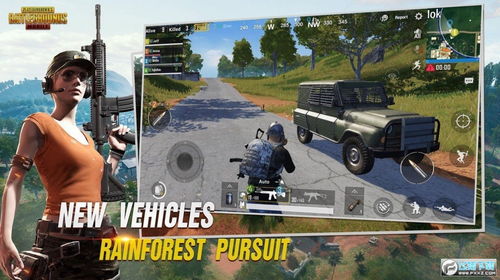 pubg测试服单机版下载中文版-pubg测试服安卓下载v.2.71 pubg测试服单机版下载中文版-pubg测试服安卓下载v.2.71